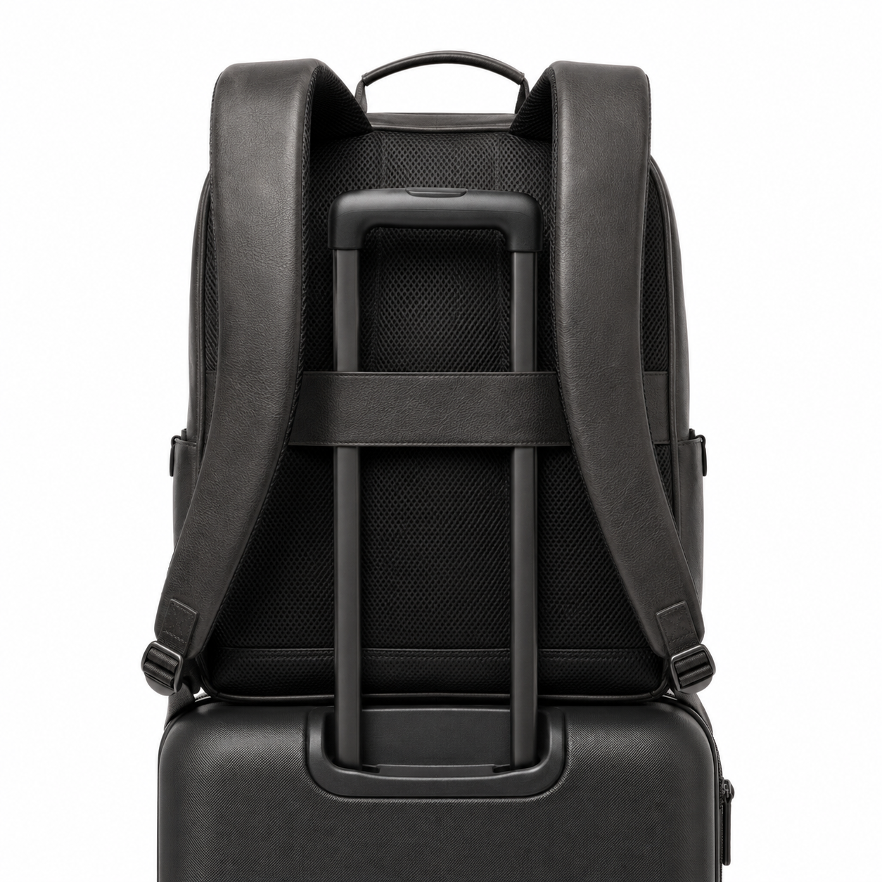 Back view of the Modish-Vogue backpack with padded straps.