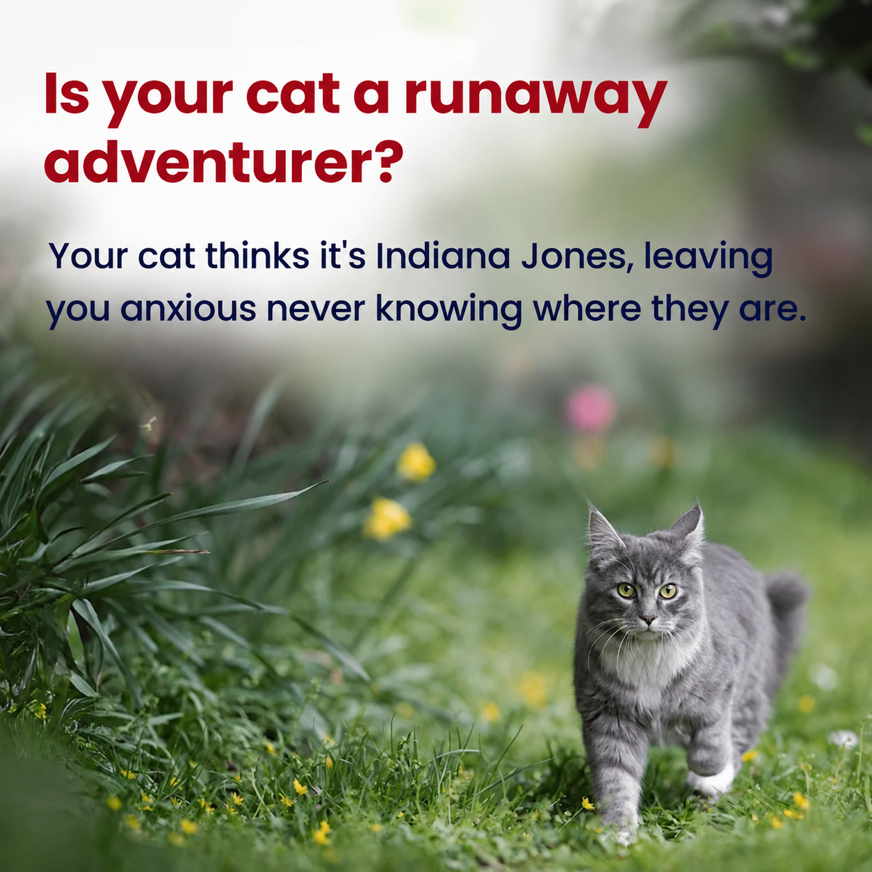 Discreet GPS Cat Tracker – Global Tracking with Apple & Android Find My – No Monthly Fees