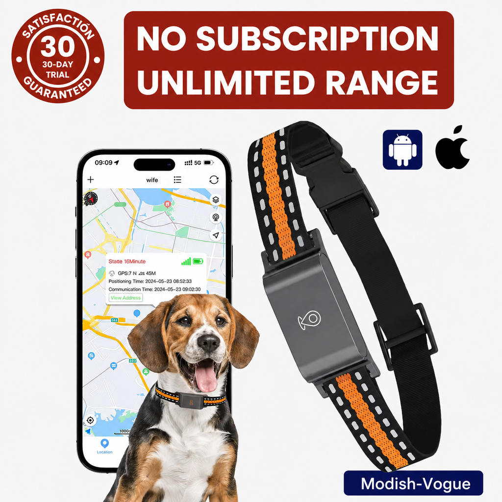 GPS dog collar with real-time tracking device attached, showing adjustable strap and compact tracker unit