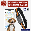 GPS dog collar with real-time tracking device attached, showing adjustable strap and compact tracker unit