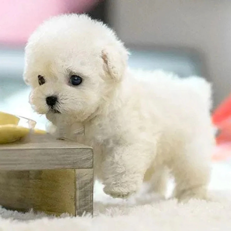 Close-up of Interactive Robotic Puppy showing handcrafted synthetic leather details and airbrushed finish