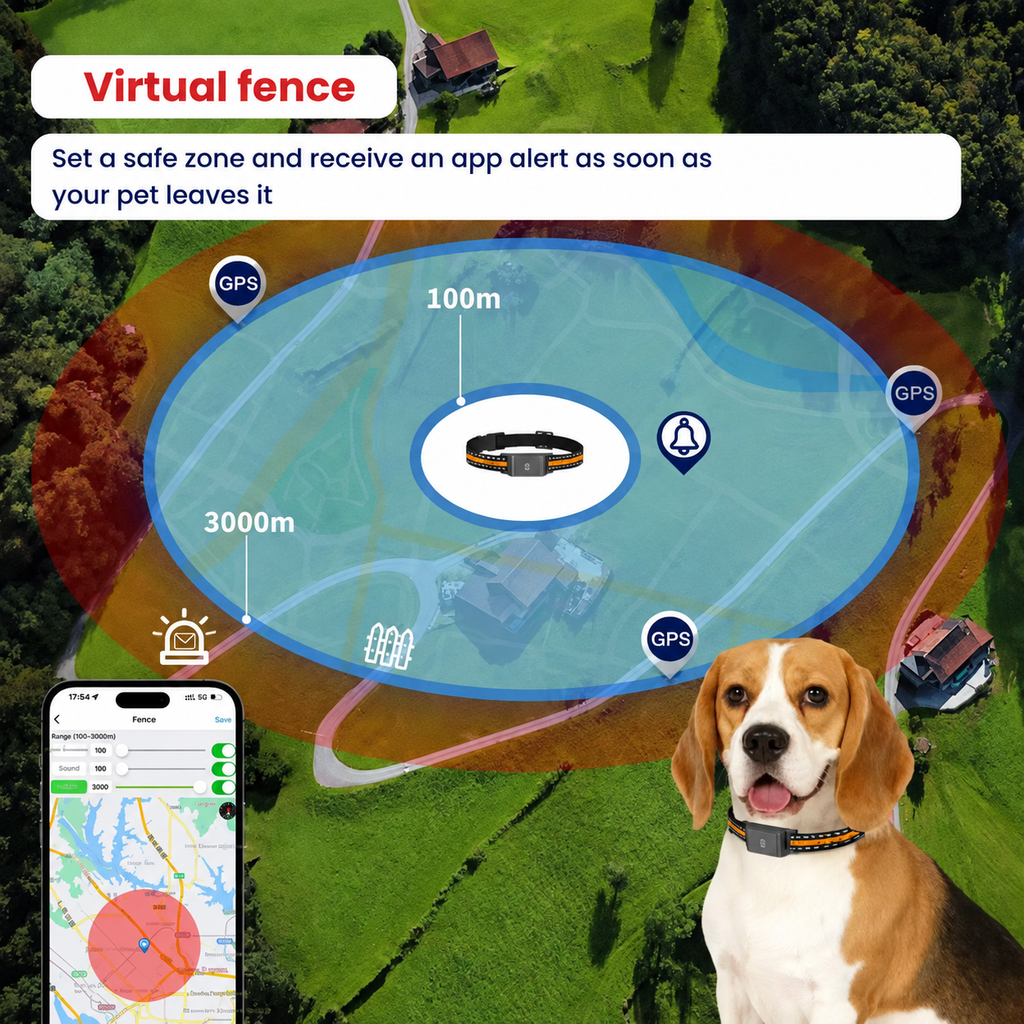 Dog wearing GPS collar outdoors, demonstrating comfortable fit and secure attachment for daily use