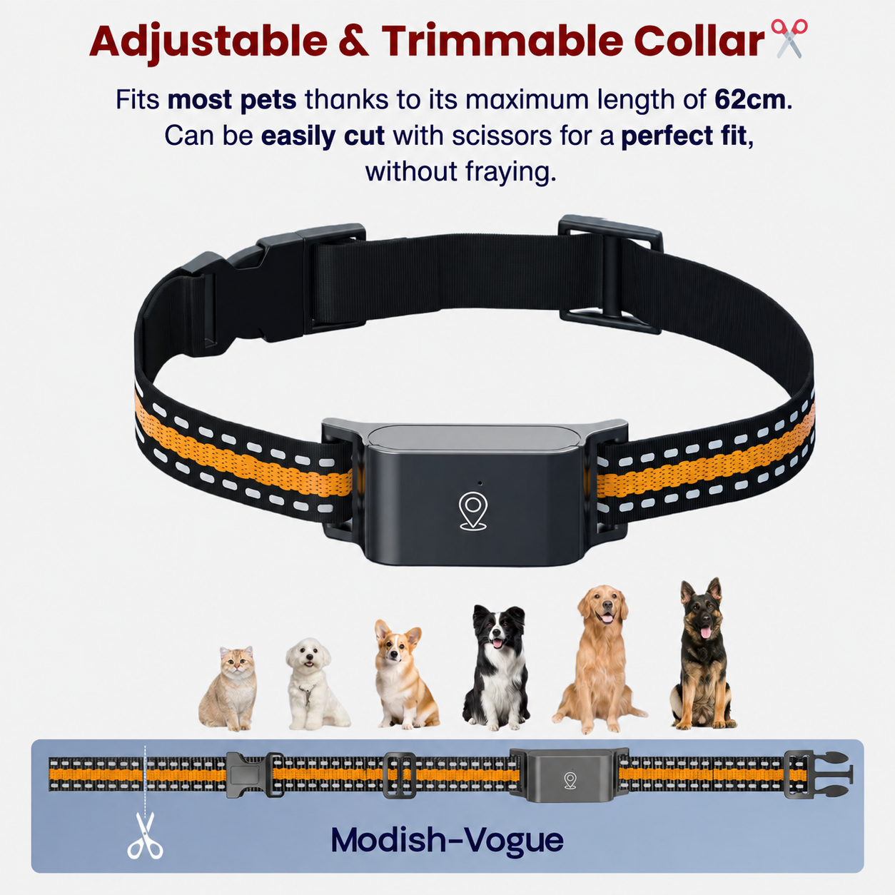 Complete GPS collar package contents including tracker device, adjustable collar strap, USB charging cable and user manual
