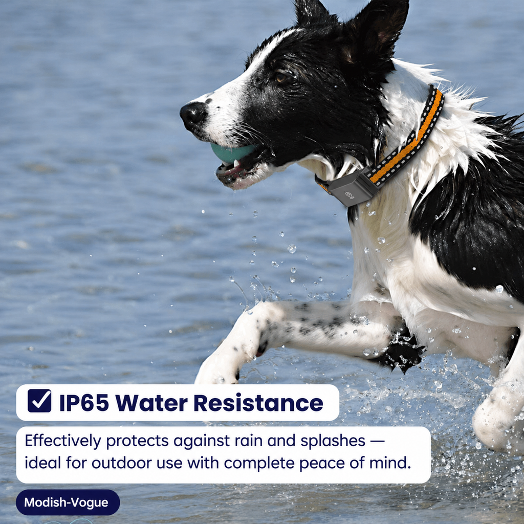 Close-up of lightweight GPS pet collar showing adjustable length and comfortable fit for all pet sizes